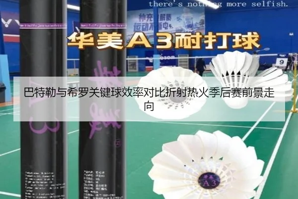 巴特勒与希罗关键球效率对比折射热火季后赛前景走向