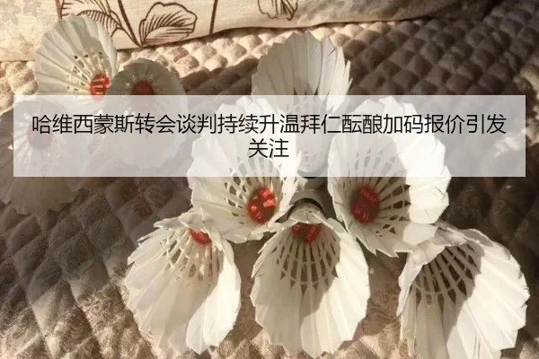 img_1783361518850_39_0_379.jpg